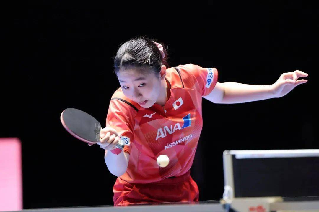 轮作中油菜 轮作中油菜