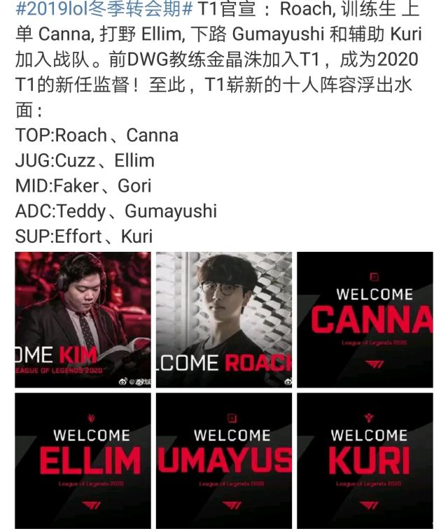 巴西和葡萄 巴西和葡萄